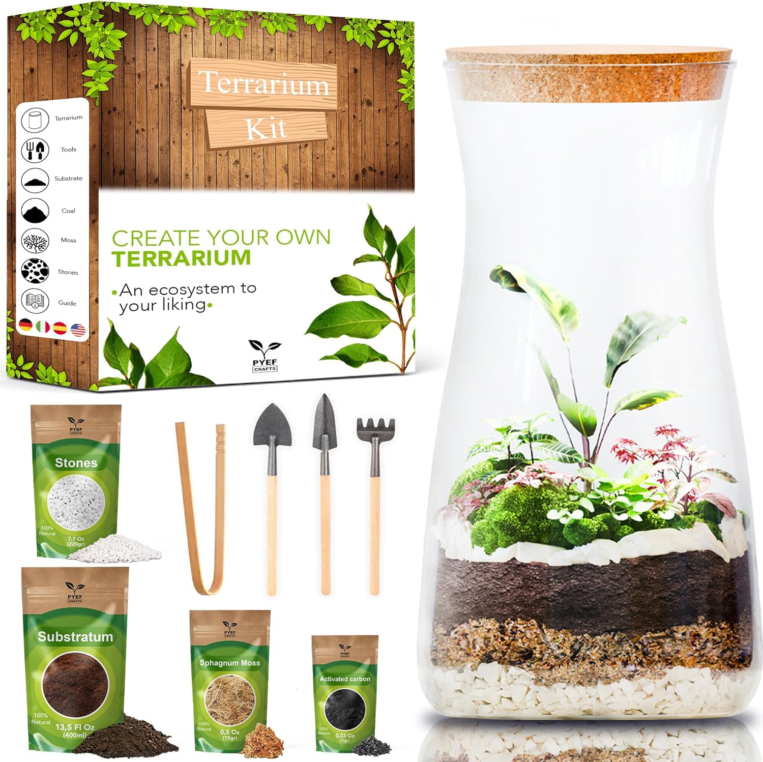 DIY Terrarium Kit for Adults – Build Your Own Self‑Sustaining Closed Ecosystem – 34 fl oz (1‑Liter) Glass Terrarium – Succulents, Air Plants, Fittonia, Fern – Plants Not Included