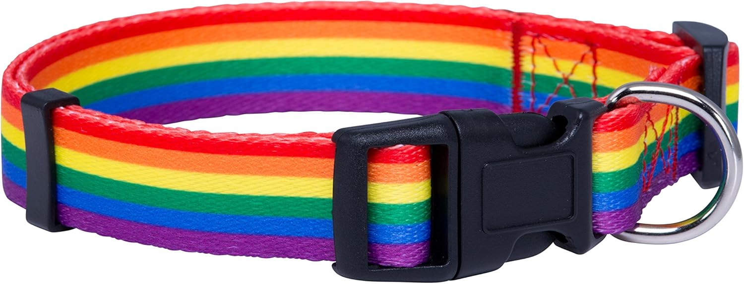 Native Pup Rainbow Flag Dog Collar (Large)
