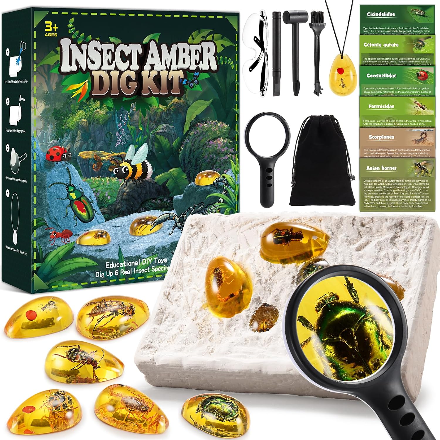 Boys Toys Age 5 6 7 8 9 10 11, Geebiiny Fossil Hunting Kit 6-12 Year Old Boy Gifts Crystals and Gemstones butterfly kits with live caterpillars Science Kit Educational Toys for 5-12 year old Boys