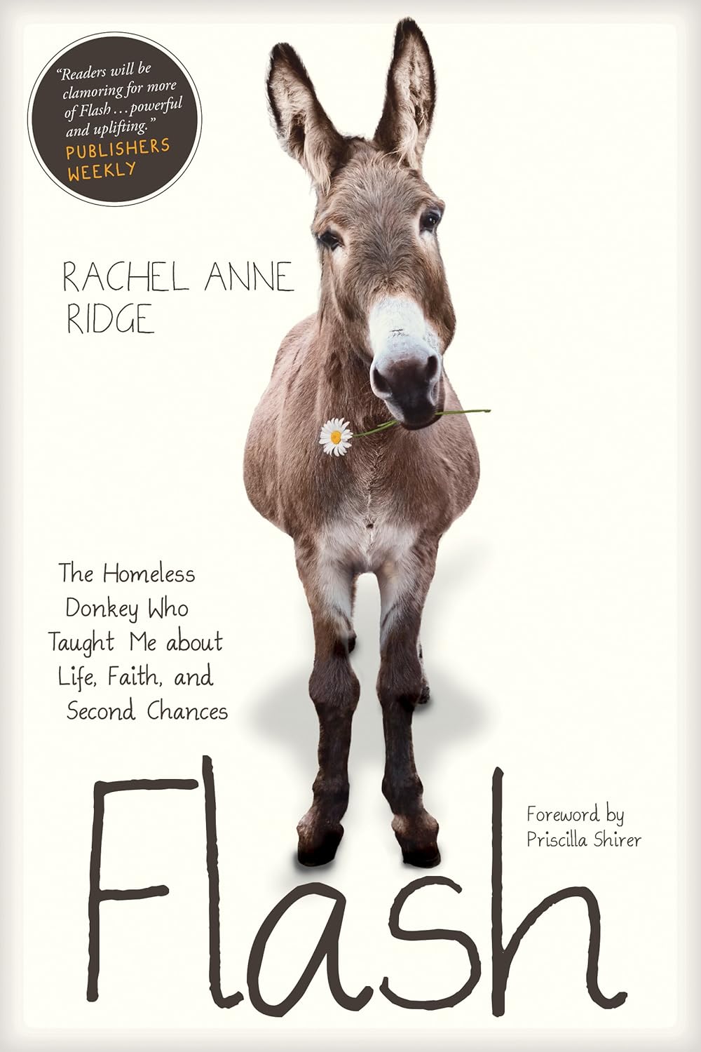 Flash: The Homeless Donkey Who Taught Me about Life, Faith, and Second Chances (Flash the Donkey)