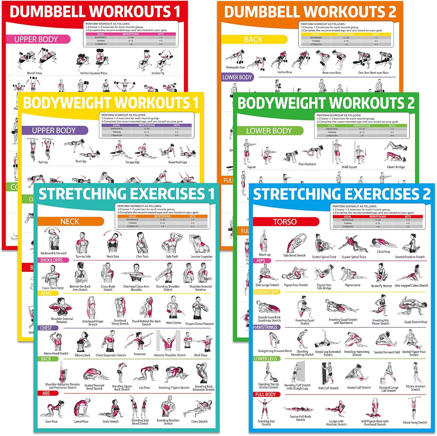 gisgfim 6PCS Workout Posters for Home Gym Dumbbell Bodyweight Stretching Workout Exercise Chart Full Body Workout Poster Set Muscle Engagement Charts Garage Home Gym Wall Decor