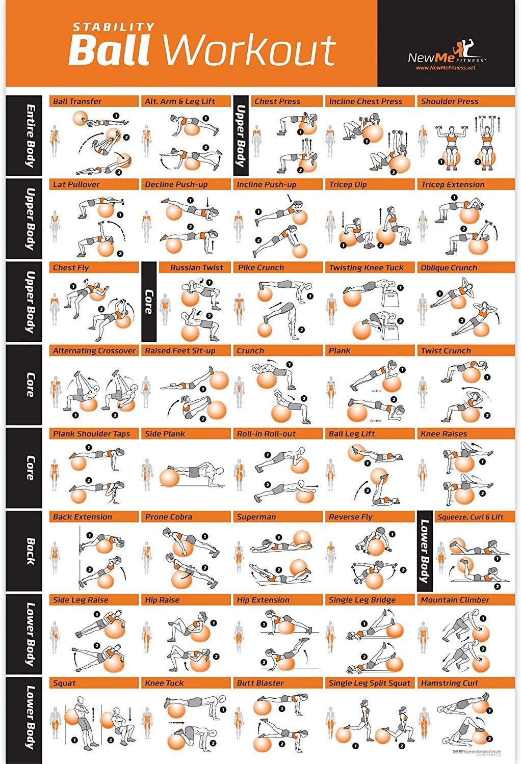 NewMe Fitness Workout Posters for Home Gym - Exercise Posters for Full Body Workout - Core, Abs, Legs, Glutes & Upper Body Training Program