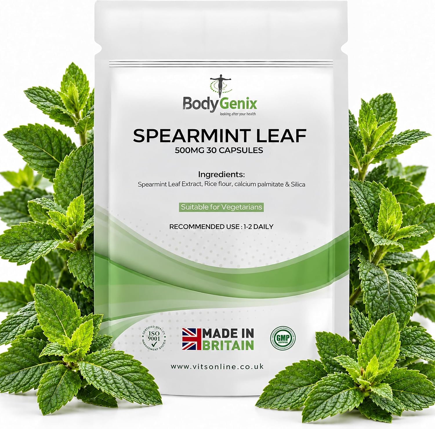 Bodygenix Spearmint Leaf Capsules - 500mg Hormonal Balance Digestive Health Fatigue & Stress Relief Support Antioxidant Formula Natural Food Supplement - 30 Capsules 1 Month Supply