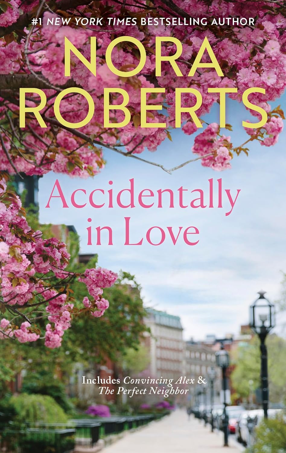 Accidentally in Love