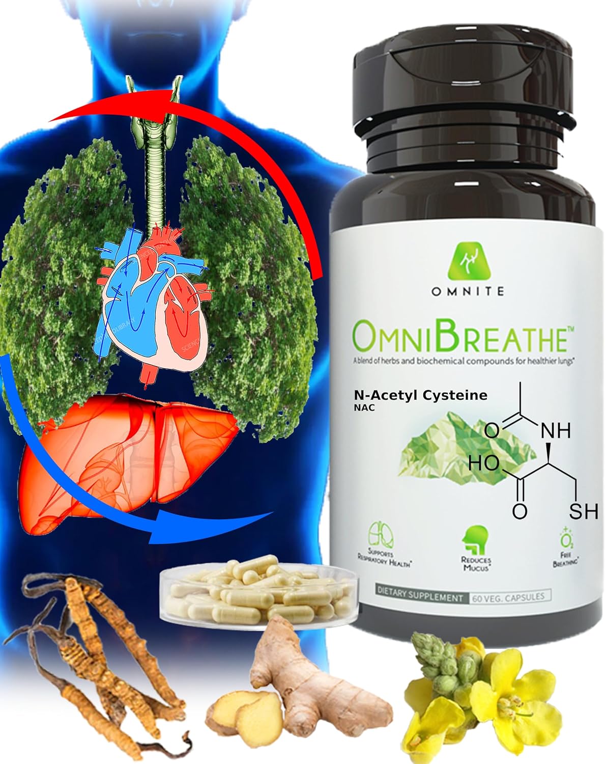 Asthma Relief Bronchial Health - Lung Detox for Smokers with Mullein Leaf Extract, Nettle Root - 30 Days Respiratory Health Supplement Naturally Reduce Cough & Clear Mucus for Smokers -60 Veg Capsules