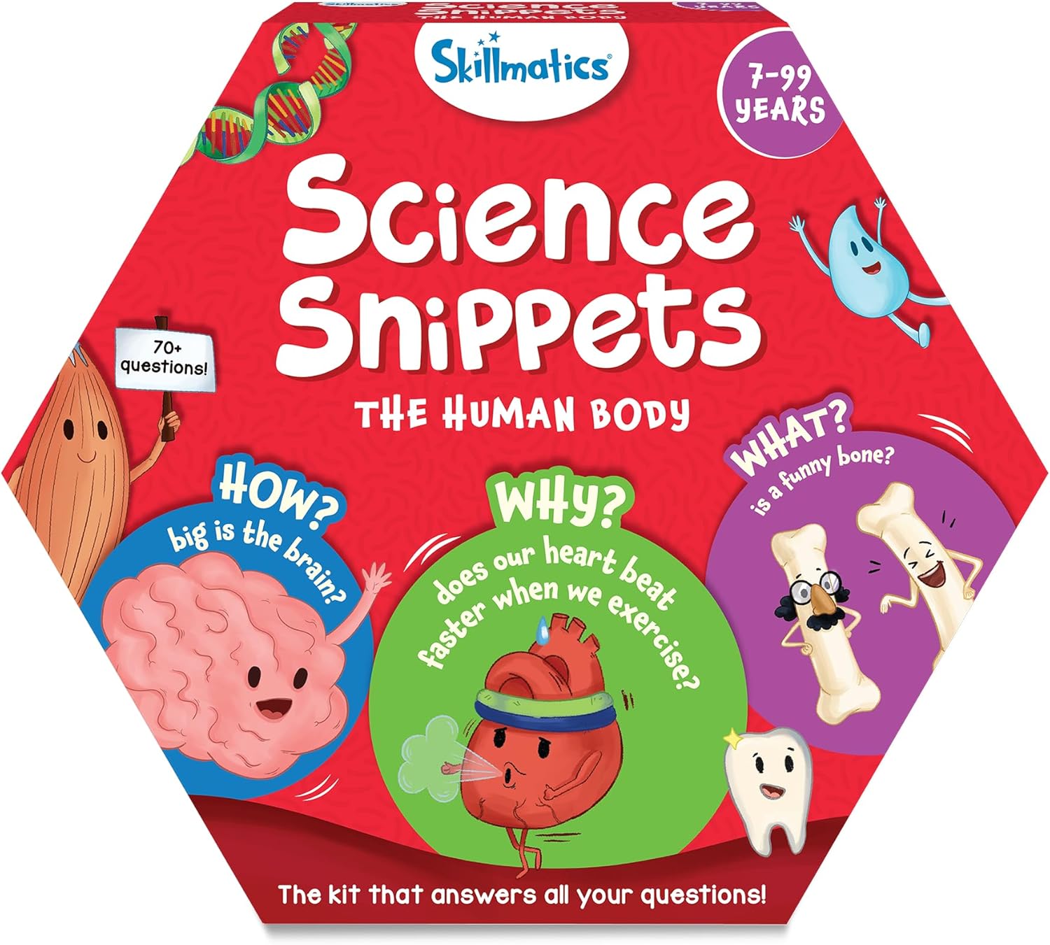 Skillmatics Flash Cards - Science Snippets The Human Body, STEM Learning Educational Toys & Learning Aids for Kids, Gifts for Boys & Girls Ages 7, 8, 9 & Up, Homeschool, Classroom & Travel Activity