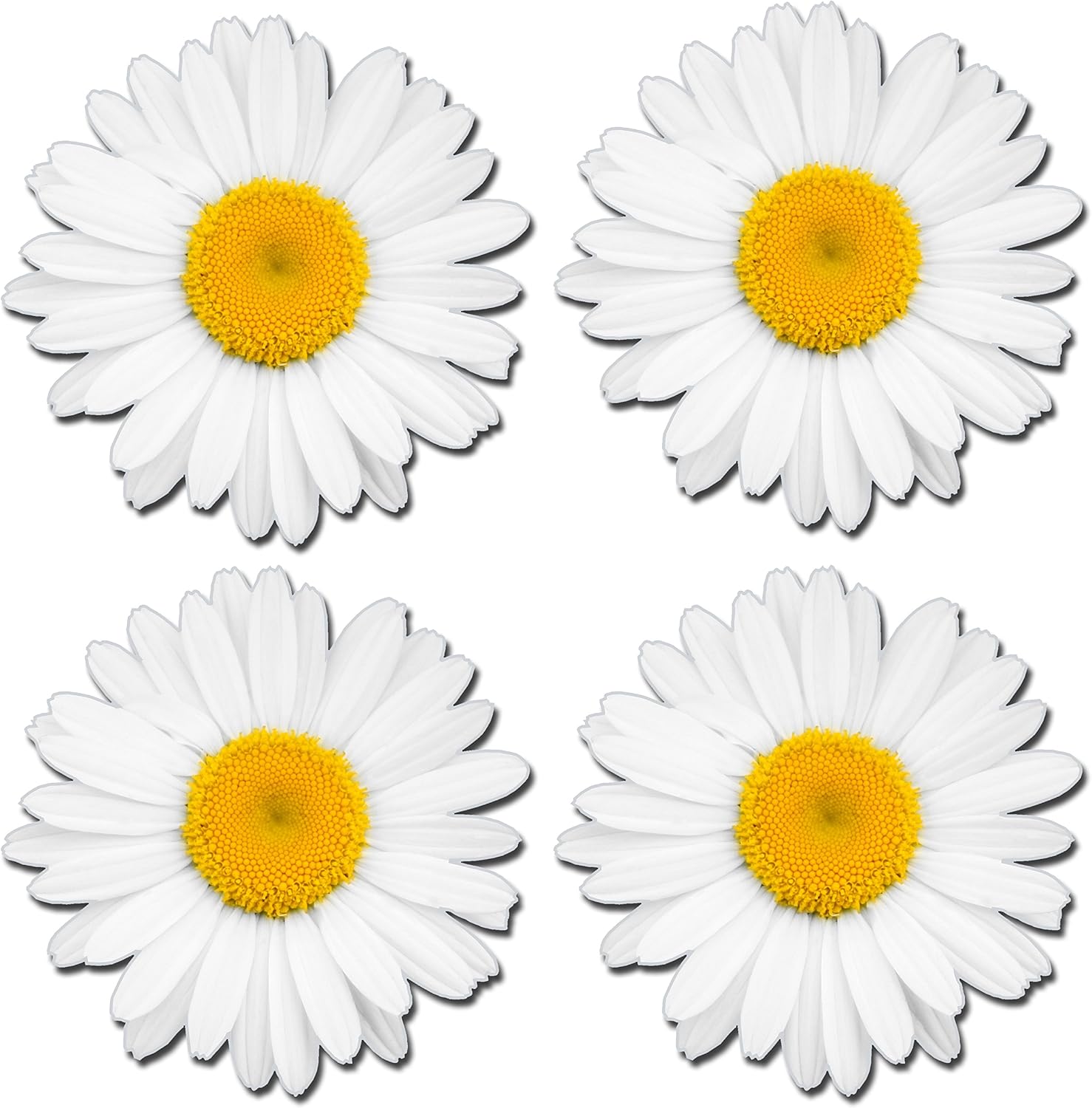 4 x Glossy Vinyl Stickers - Flowers Daisy Laptop Bin Box Mirror Car Bike #0180 (As Shown.)