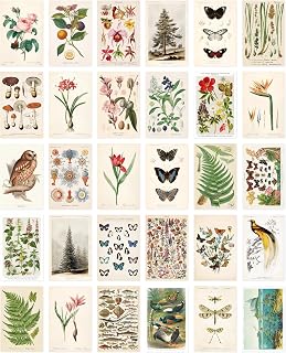 Nature Collection Postcard Set: Pack of 30 Retro Style Botanical, Nature and Birds Postcards