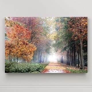 Renditions Gallery Home Wall Art Pictures Pathway through the Misty Autum Forest Canvas Hanging Prints for Living Room Office Decorations - 24"X36" LT08