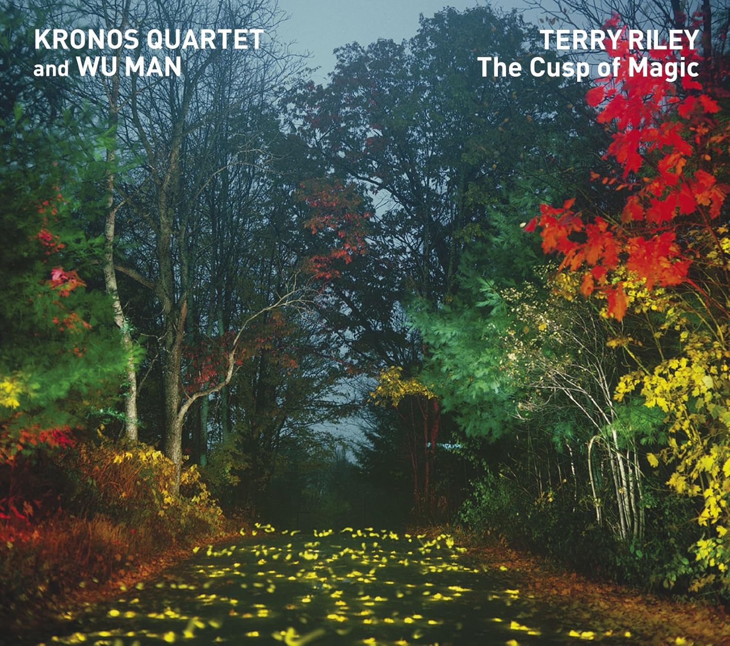 Terry Riley: The Cusp Of Magic