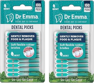 Dental Picks Mint Brush Picks 100Ct/Pack, 2 Packs (200Ct)