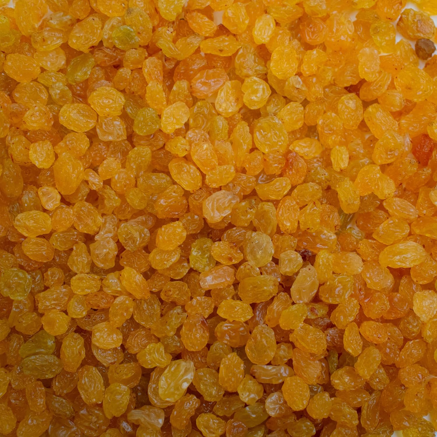 Golden Raisins 1KG - South African Golden Sultanas - Yellow Raisins 1KG - Premium Dried Fruit - Blue Forest Foods