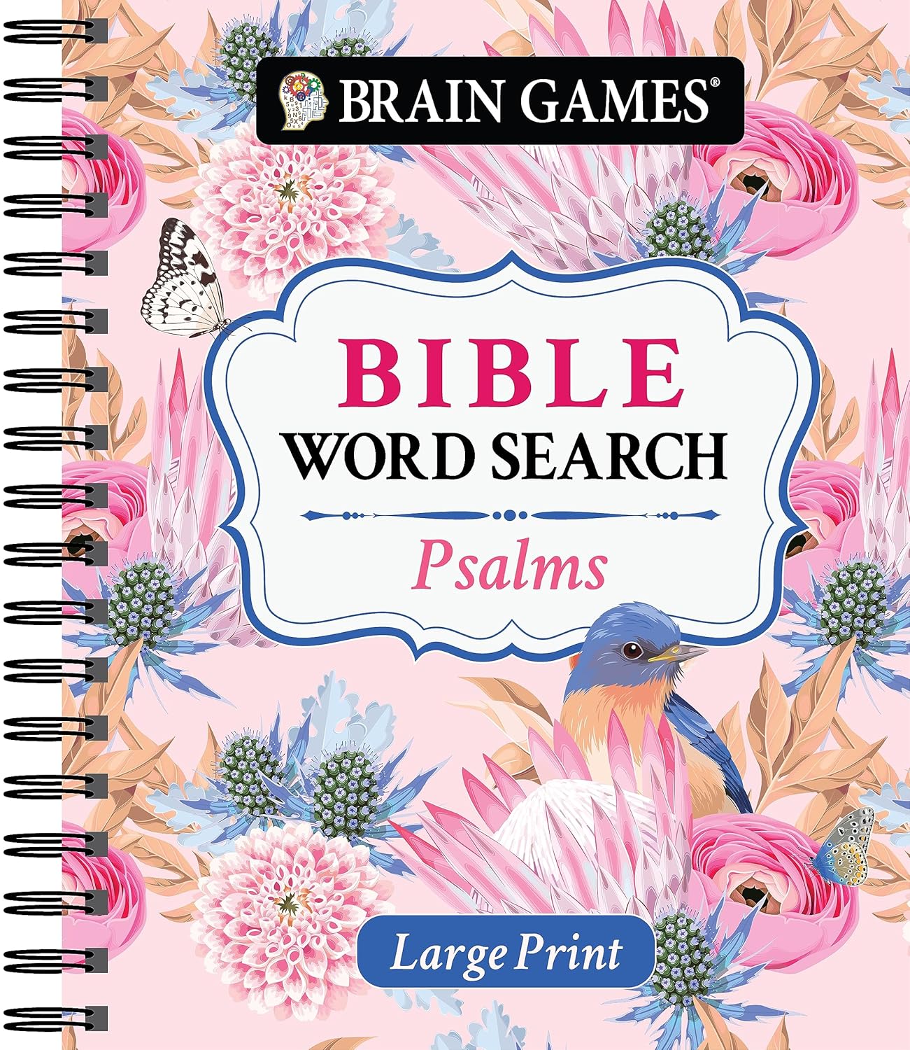 Brain Games - Large Print Bible Word Search: Psalms (Brain Games - Bible)