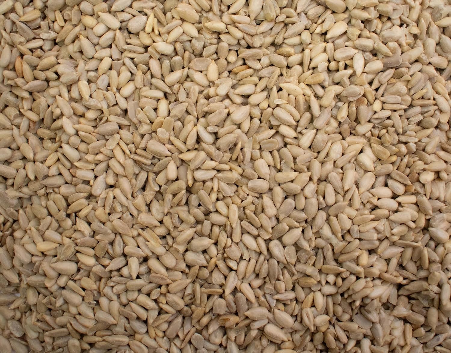 Sunflower Seeds 1KG - Premium Sunflower Seed Kernels - Bulk Bag - Ready to Eat - Blue Forest Foods