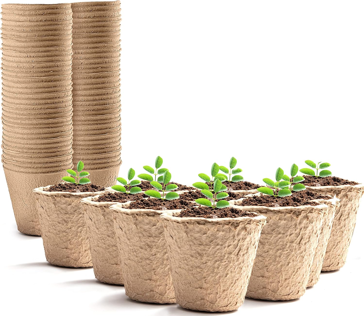 Keplin 96 Pack Biodegradable Planting Pots for Seeds 5x6cm, Compostable Seed Pots for Seedling Growth, Small Plant Pots For Easy Transplant, Eco-Friendly Choice for Garden, Greenhouse